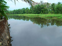 The Verandah Gardens